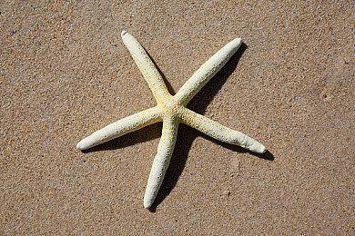 欧美少女动画《少女特工组》确定推出改编游戏